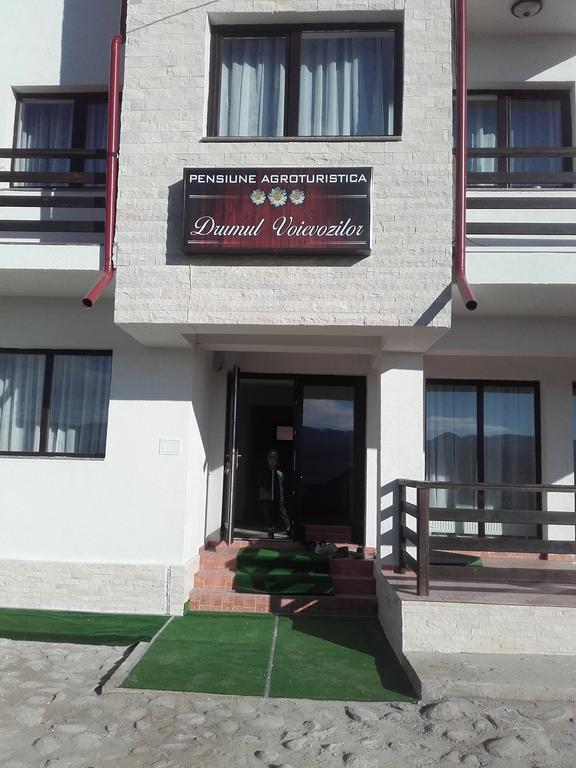 Pensiunea Drumul Voievozilor 阿雷富 外观 照片