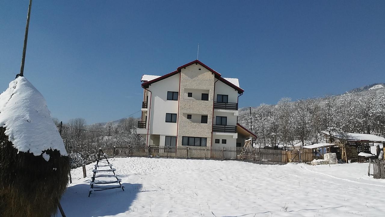 Pensiunea Drumul Voievozilor 阿雷富 外观 照片